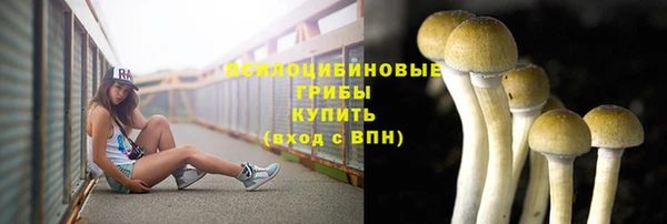 PSILOCYBIN Нефтегорск